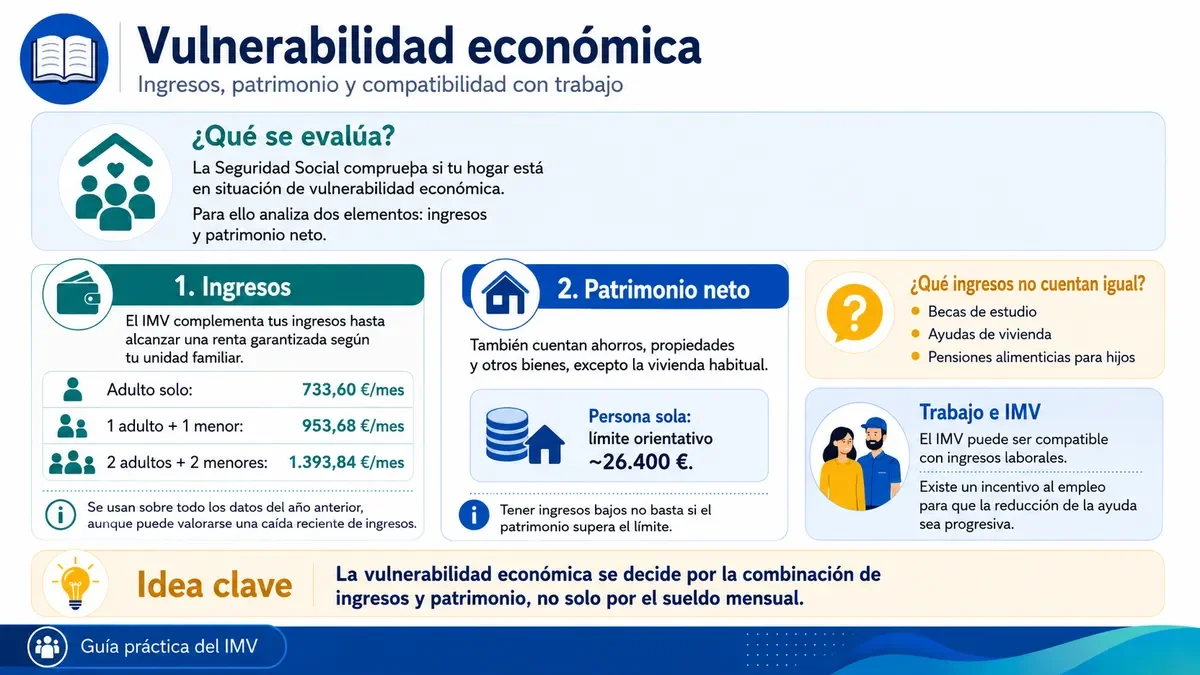 Infografía detallando cómo se evalúa la vulnerabilidad económica mediante ingresos y patrimonio.